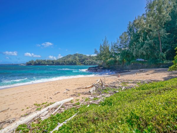 Hanalei Home 970212