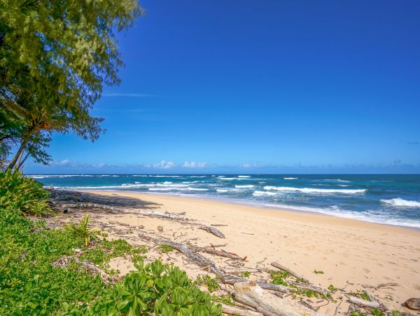 Hanalei Home 970212