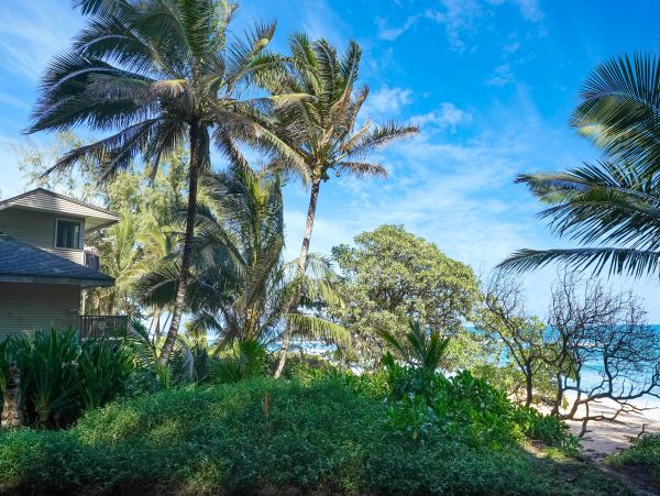 Hanalei Home 970212