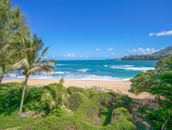 Hanalei Home 970212