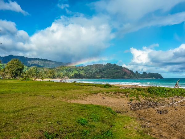 Hanalei Home 970213