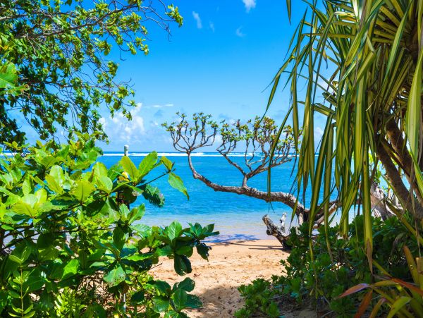 Princeville Home 970216
