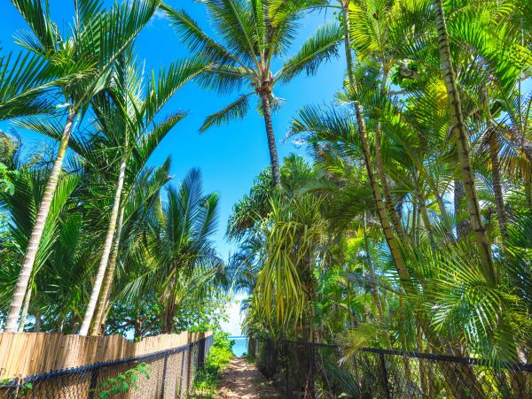Princeville Home 970216