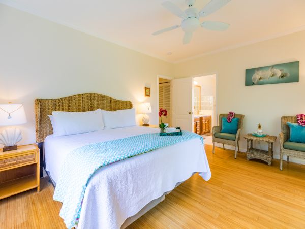 Princeville Home 970217