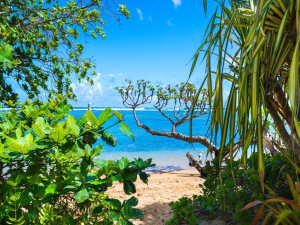 Anini Beach Five Bedroom Rental Home 225 feet from the Ocean.