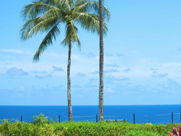 Princeville Condo 970220