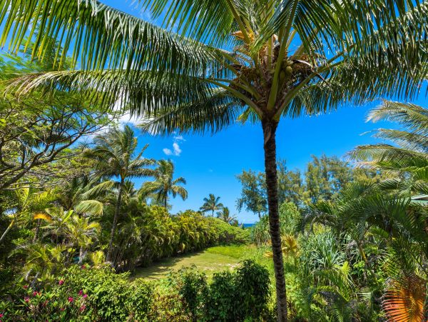 Princeville Condo 970221