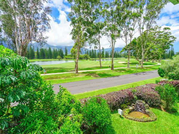 Princeville Condo 970224