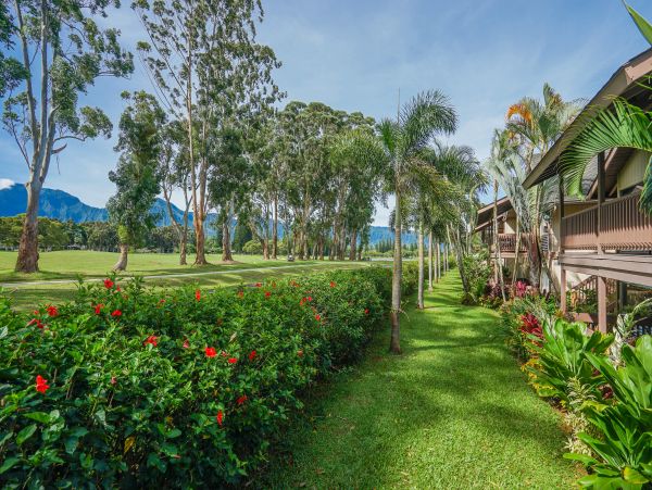 Princeville Condo 970229