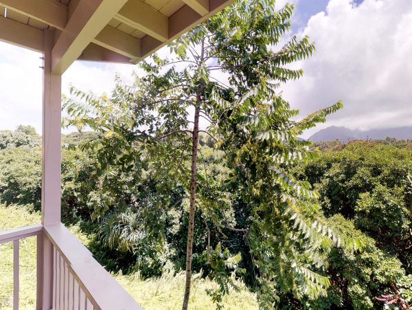 Princeville Home 970231