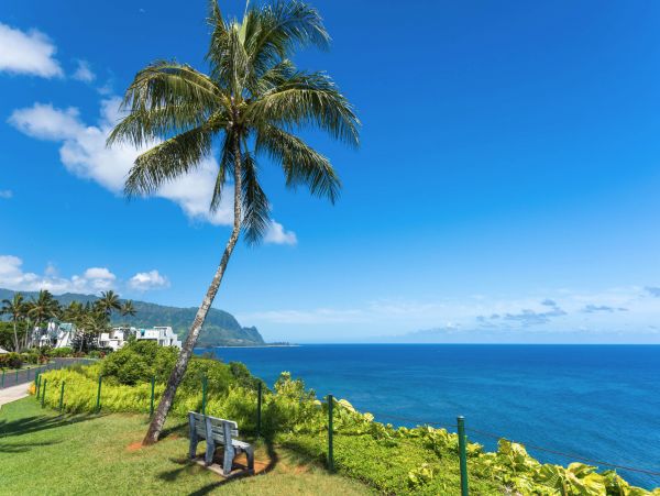 Princeville Condo 970233