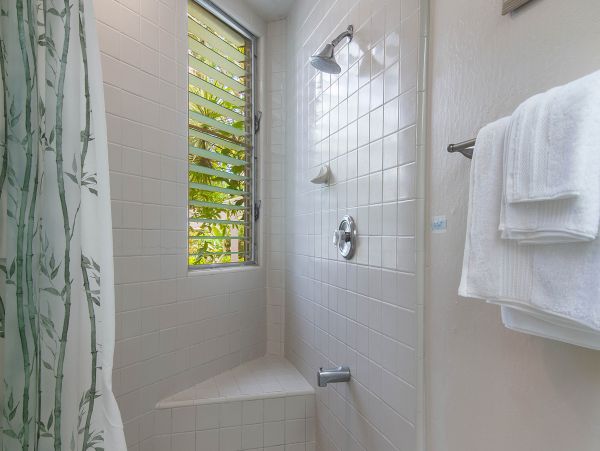 Princeville Condo 970235