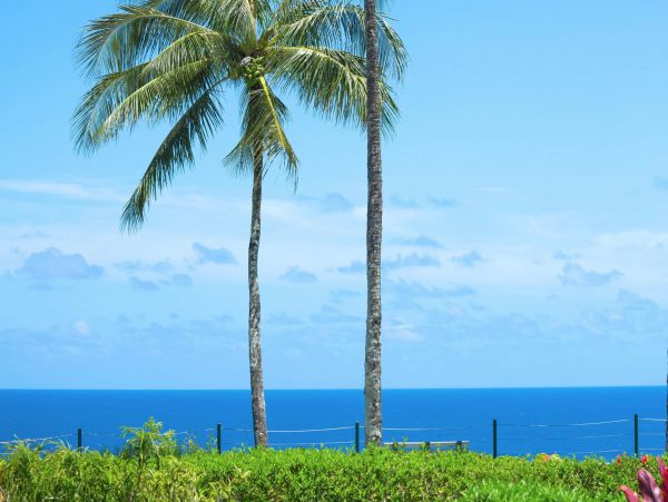 Princeville Condo 970235