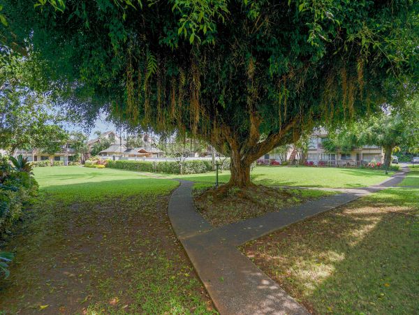 Princeville Condo 970237