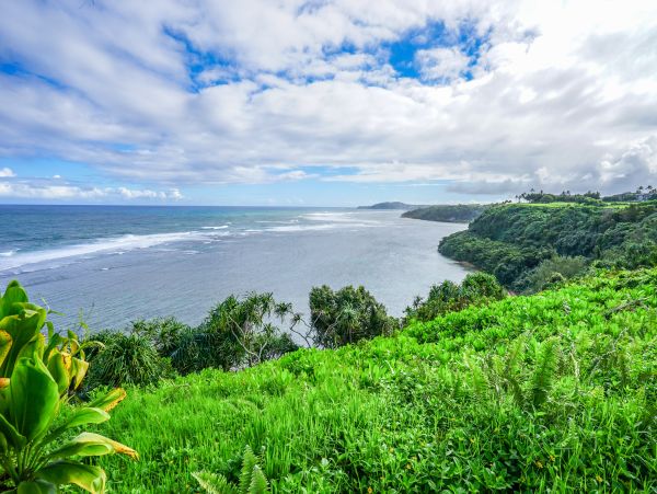 Princeville Condo 970239