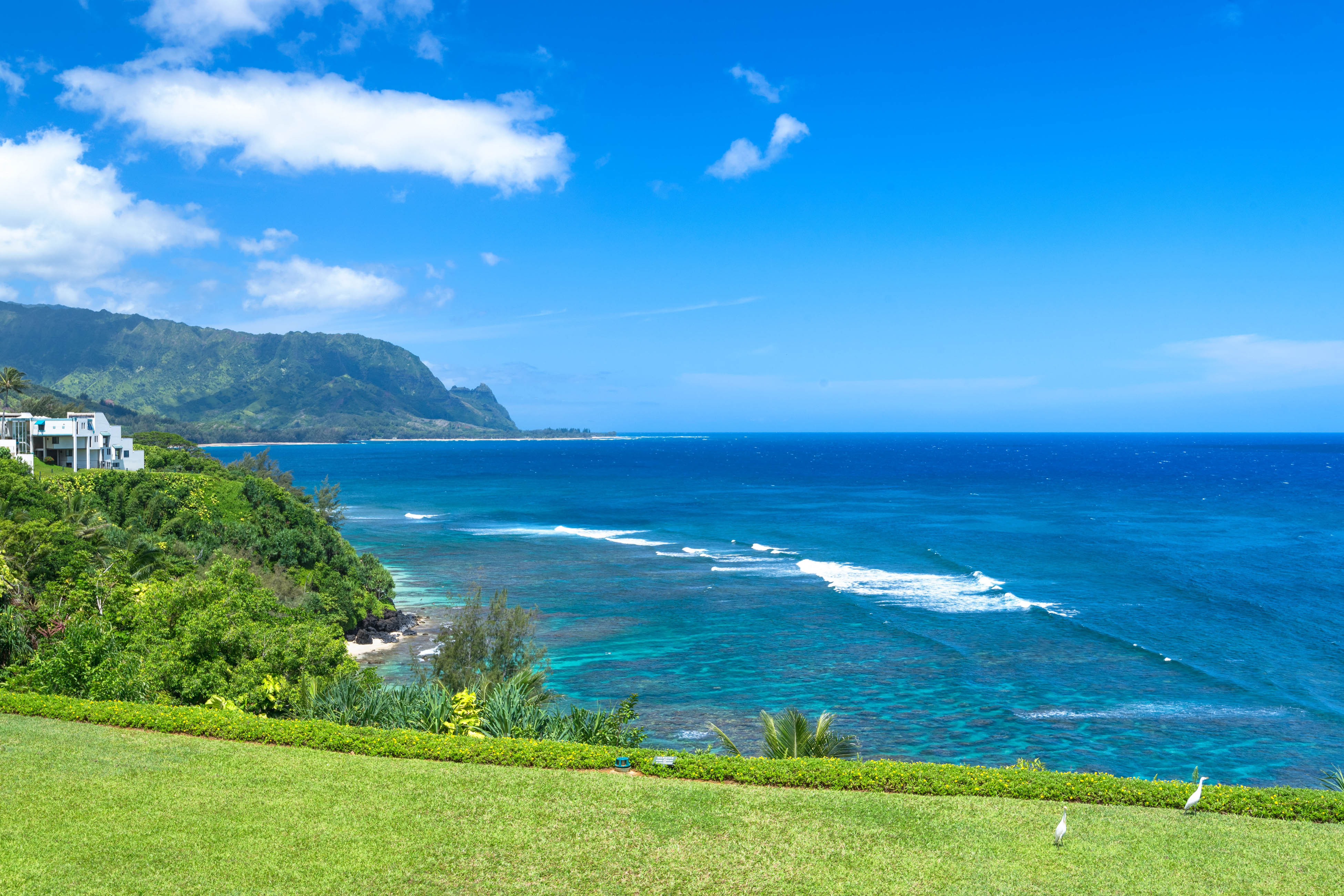 Princeville Condo 970243