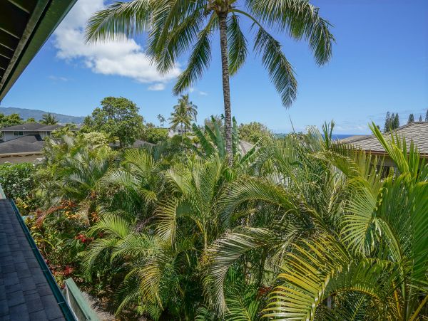 Princeville Home 970244