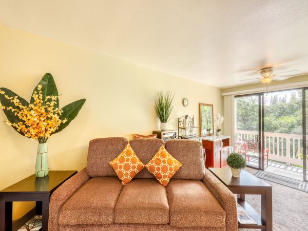 Princeville Condo 970245