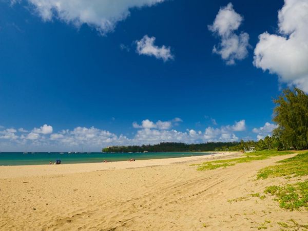 Luxury 4 Bedroom Vacation House in Princeville
