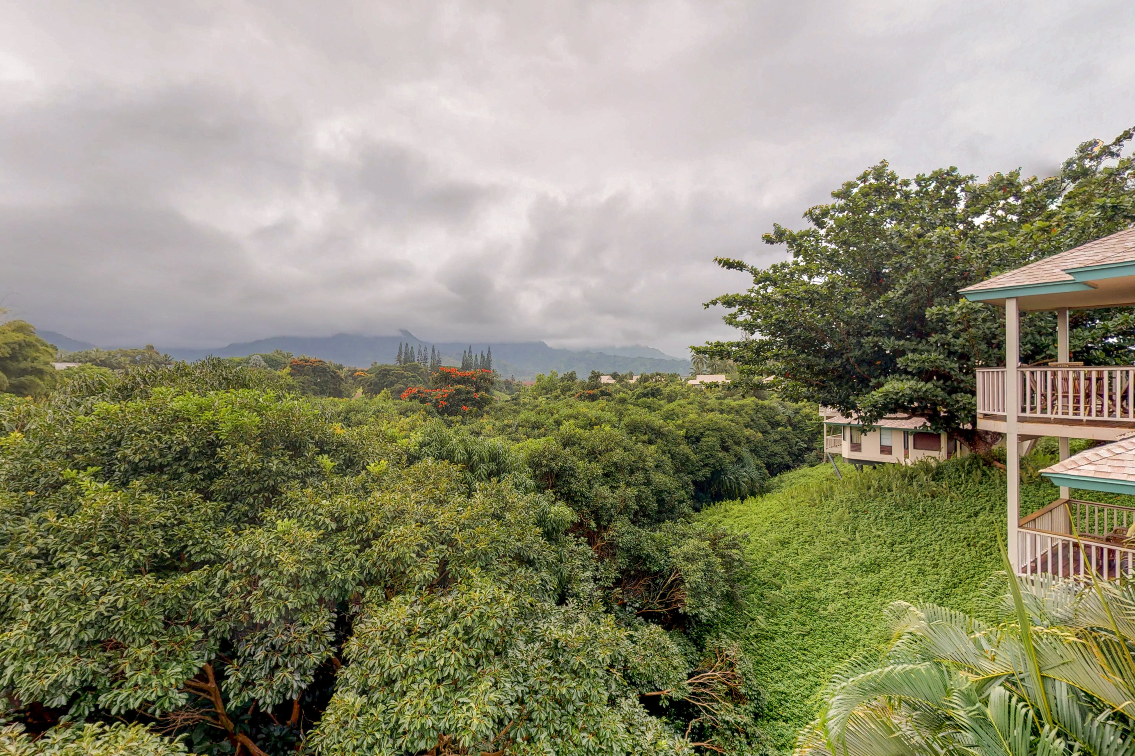 Princeville Home 970248