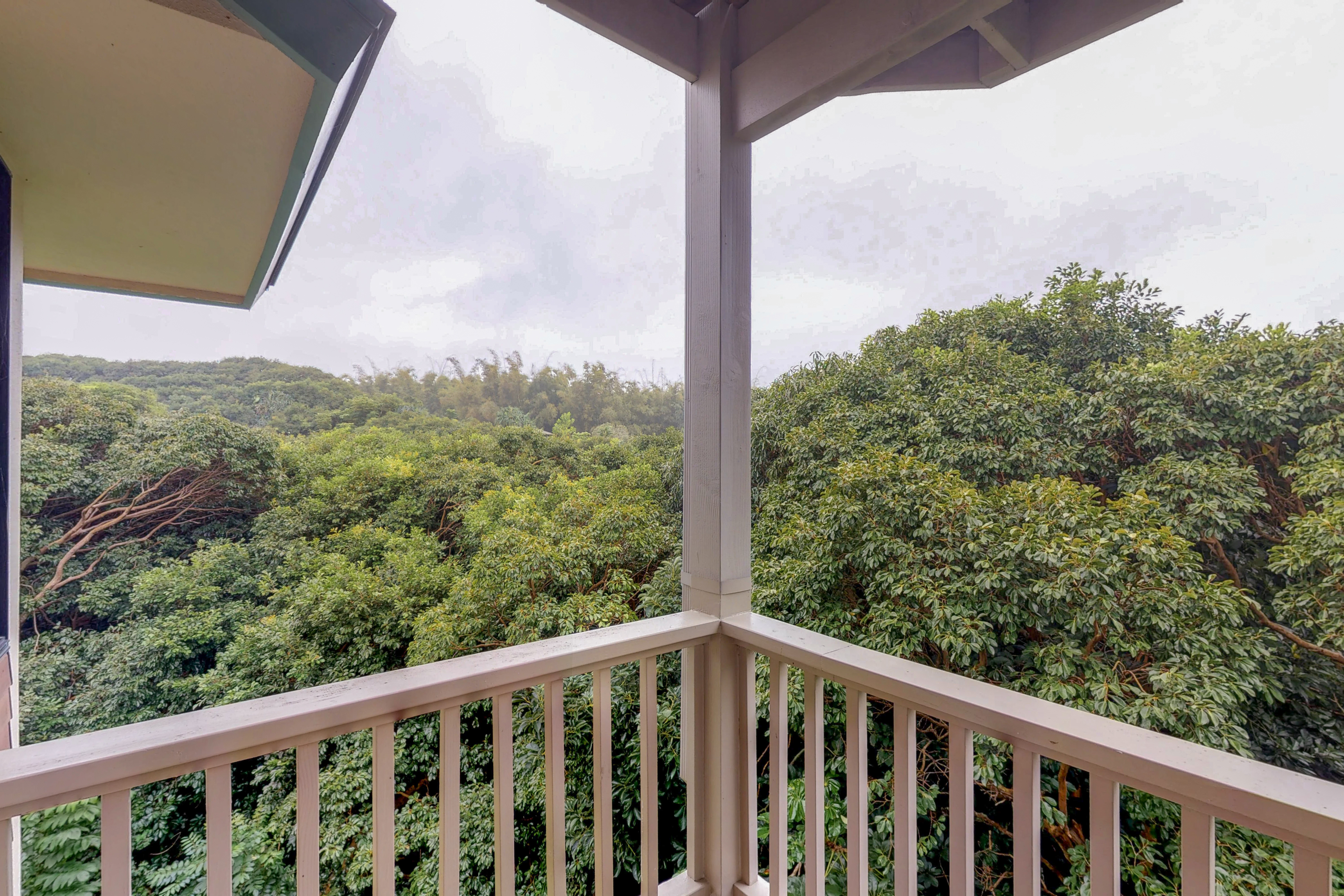 Princeville Home 970248
