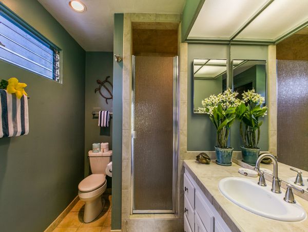 Princeville Home 970252