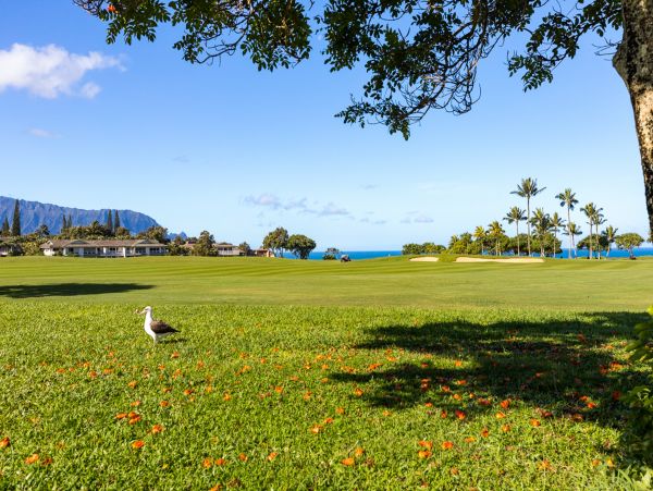 Princeville Home 970252