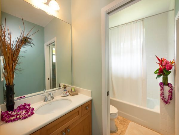 Princeville Condo 970253