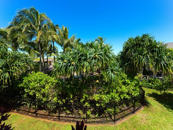 Princeville Condo 970253