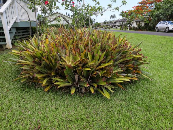 Princeville Home 970254