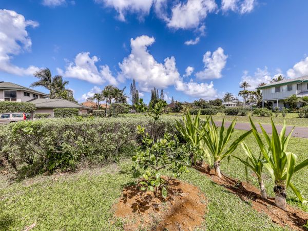 Princeville Home 970256