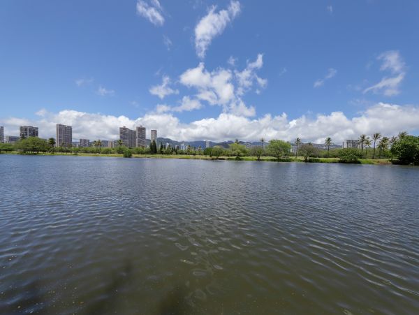 Honolulu Diamond Head Kahala Condo 970291