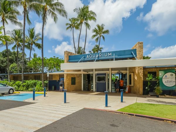 Honolulu Diamond Head Kahala Condo 970298