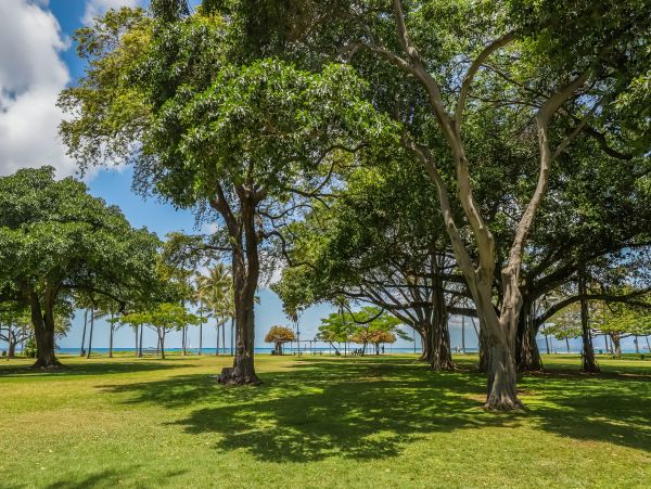 Honolulu Diamond Head Kahala Condo 970298