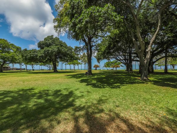 Honolulu Diamond Head Kahala Condo 970298