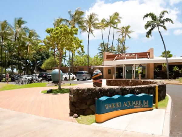 Honolulu Diamond Head Kahala Condo 970298