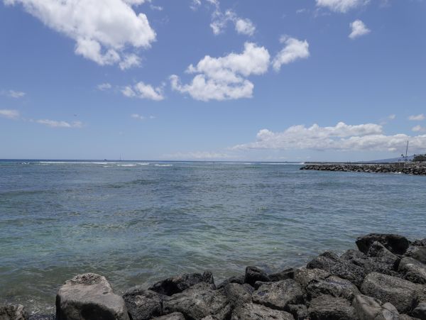 Honolulu Diamond Head Kahala Condo 970324