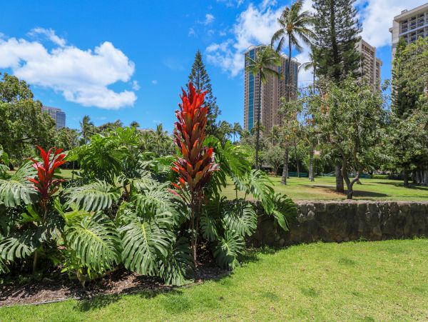 Honolulu Diamond Head Kahala Condo 970324
