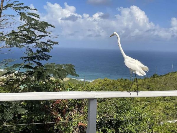 St. Croix Vacation Home Two Bedroom Ocean Views