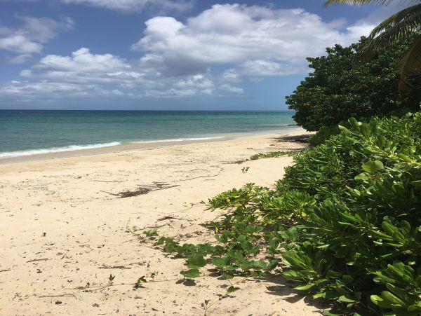 St. Croix Home 970367