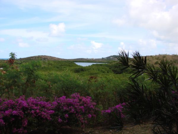 St. Croix Condo 970377