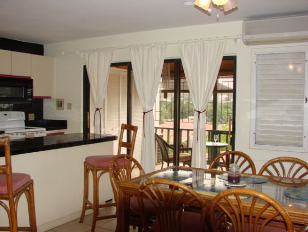 St. Croix Condo 970387