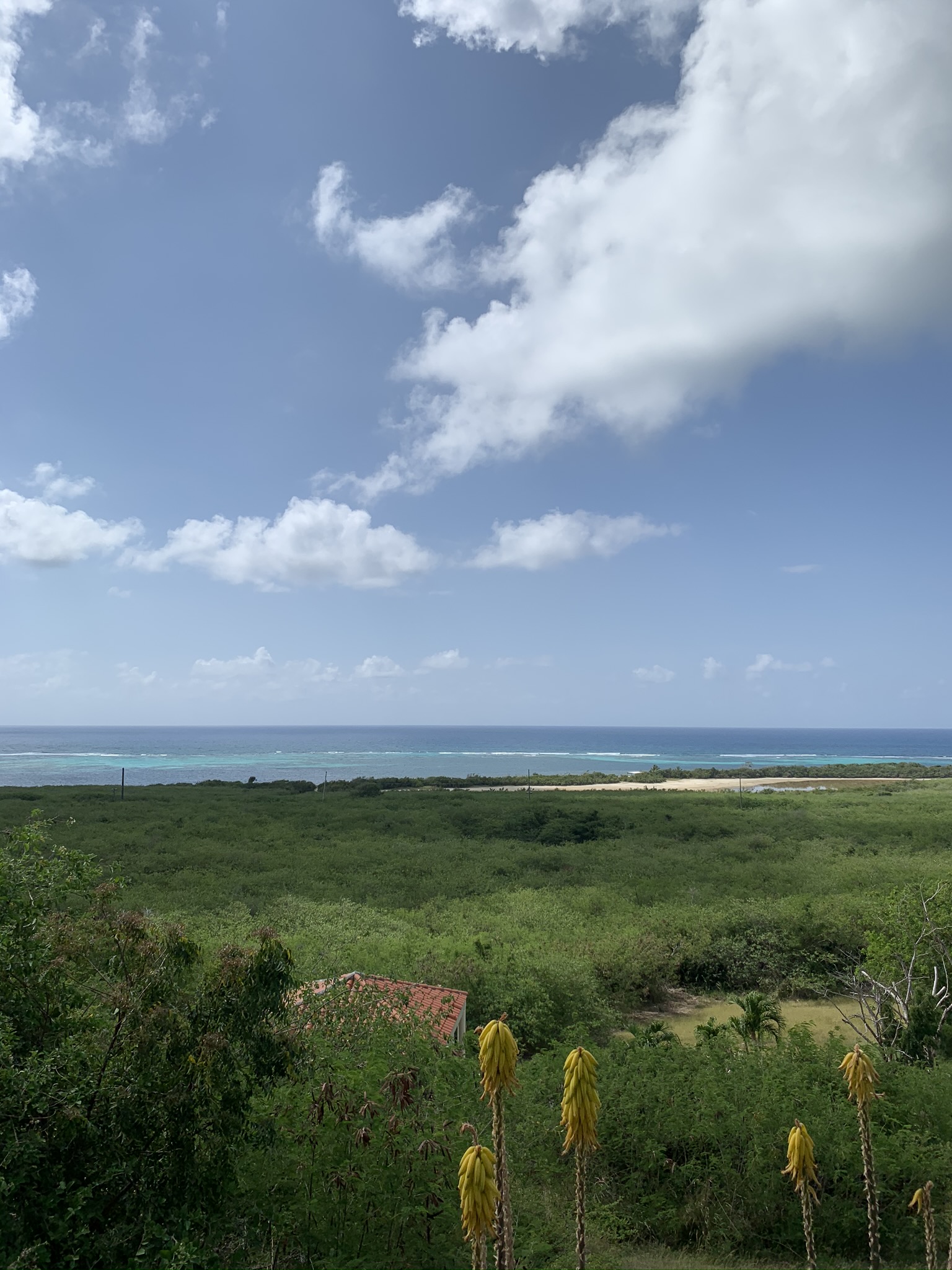 St. Croix Condo 970400