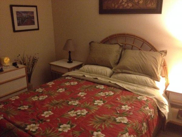 St. Croix Condo 970410