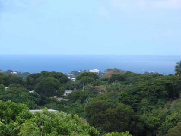 St. Croix Condo 970432