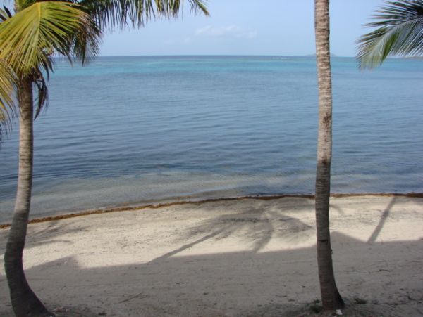 St. Croix Condo 970436