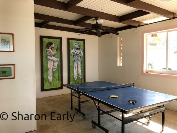 St. Croix Condo 970437