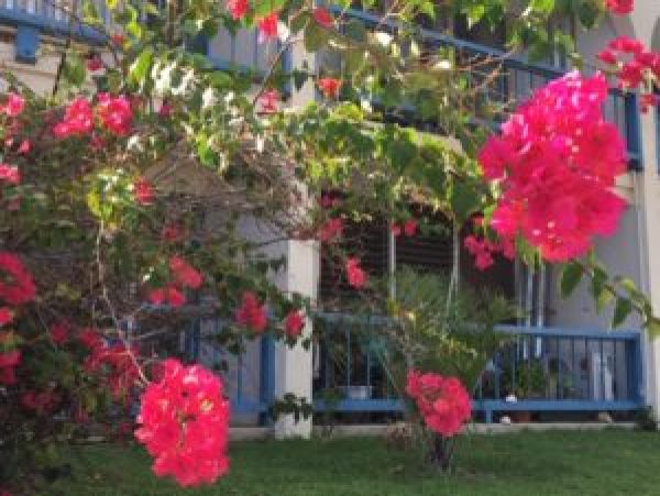 St. Croix Condo 970438
