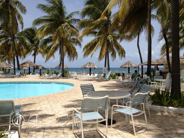 St. Croix Condo 970439