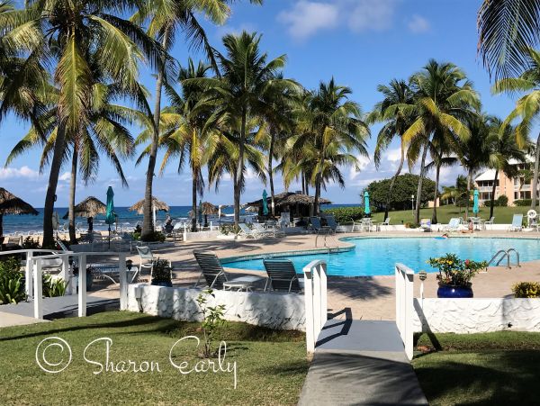 St. Croix Condo 970439